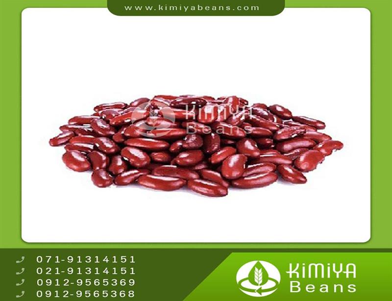 Zanjan kidney beans