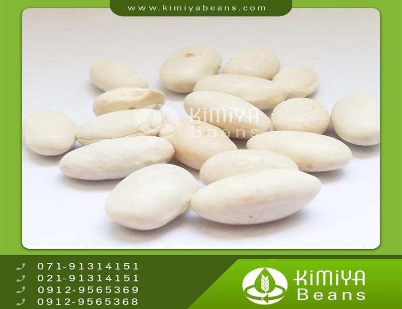 Eqlid navy beans