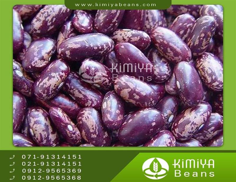 Uzbek pinto beans
