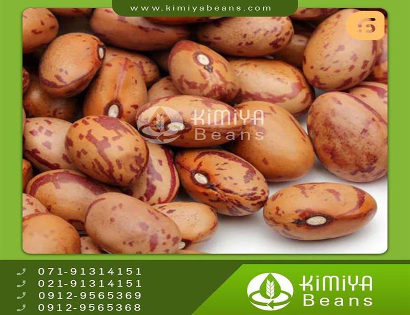 Uganda pinto beans