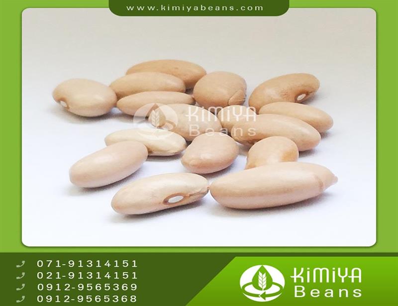 Rasht beans