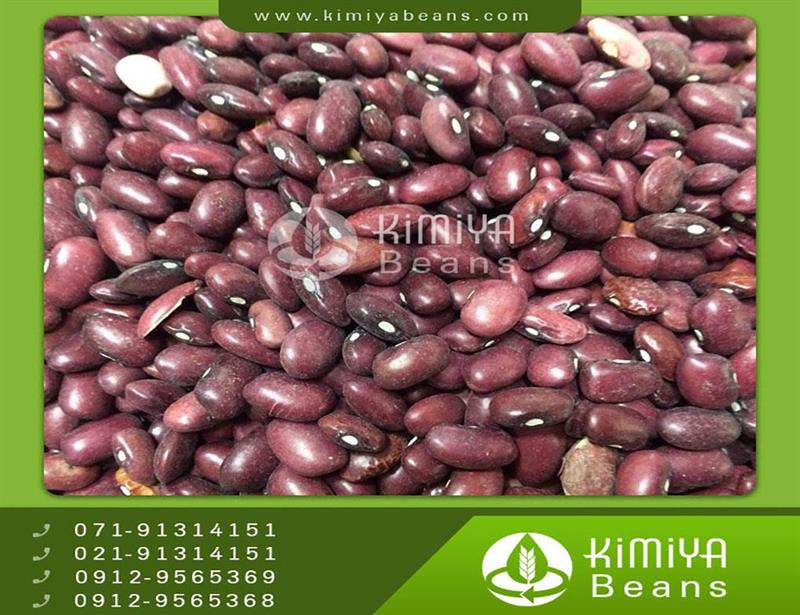 Eqlid kidney beans