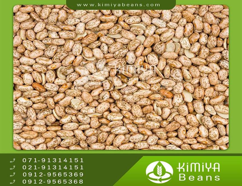 Ethiopian pinto beans