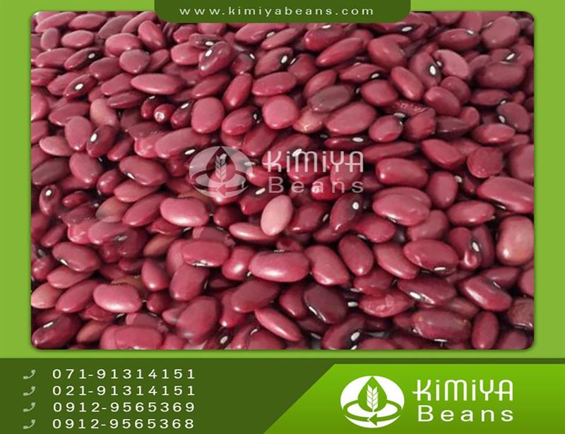 sifter kidney beans