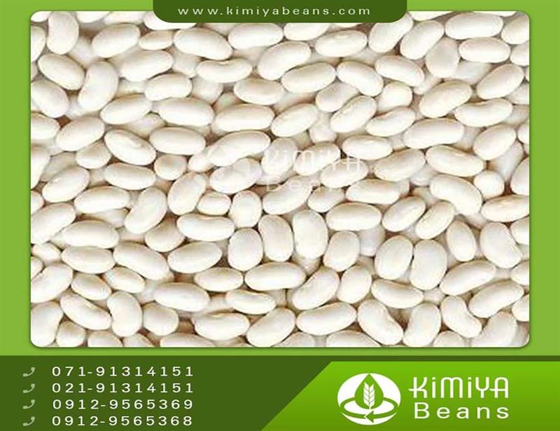 Madagascar navy beans