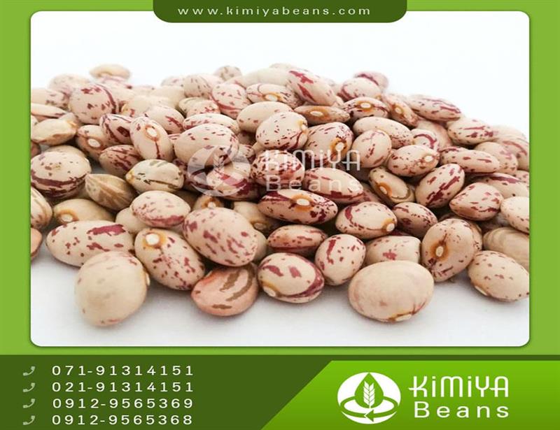 Eqlid pinto beans
