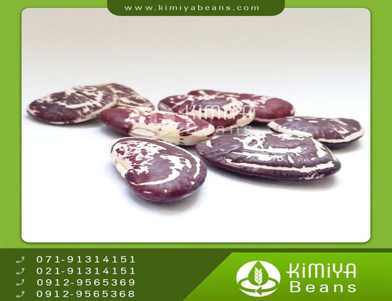 Esfahan Christmas lima beans