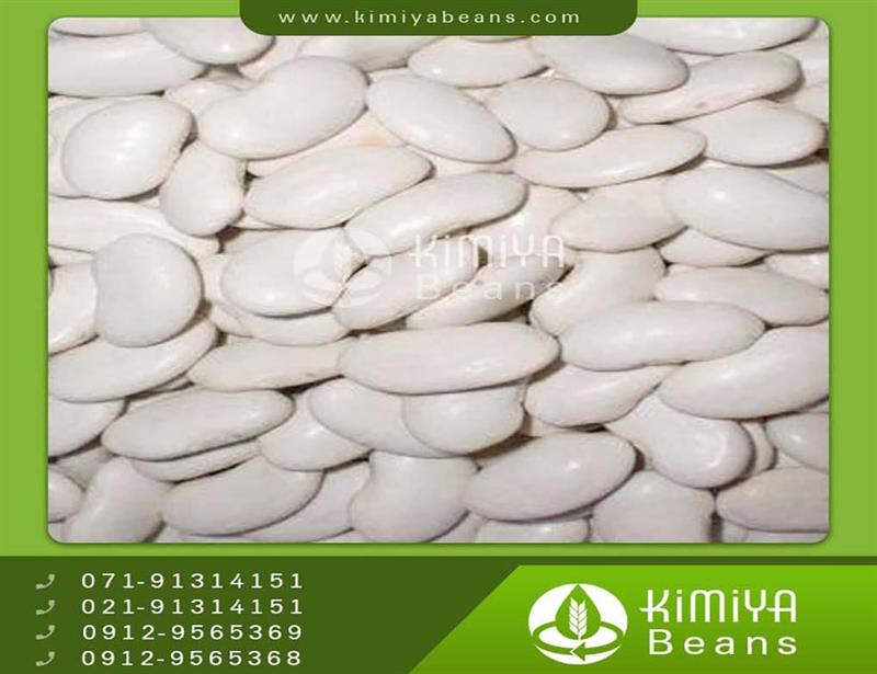 Kyrgyzstan navy beans