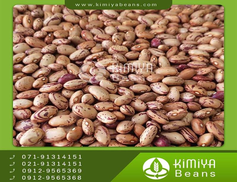 Zanjan pinto beans