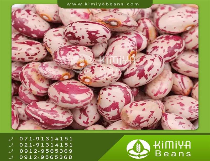 Chinese pinto beans