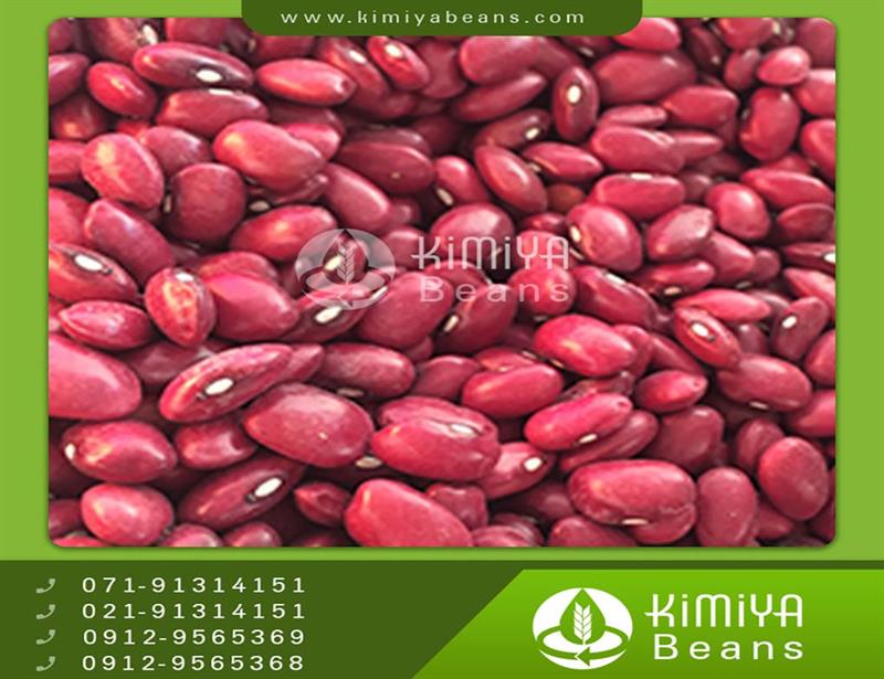 Dastchin kidney beans
