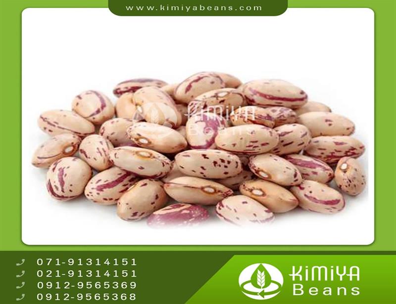 Khomein pinto beans