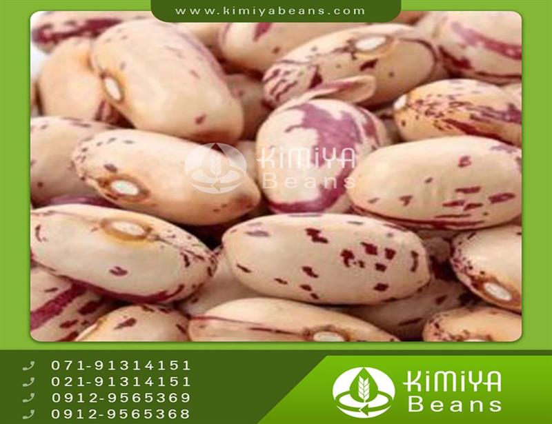 Safashahr pinto beans