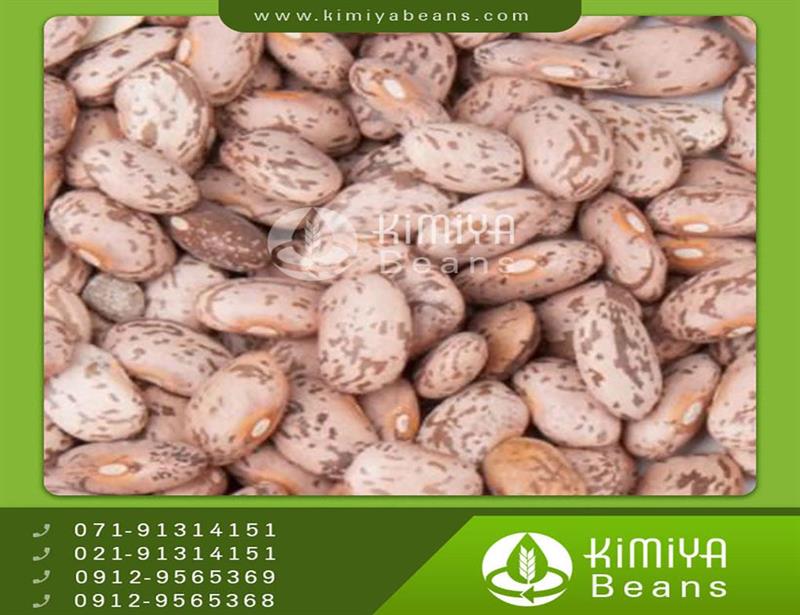 Azna pinto beans