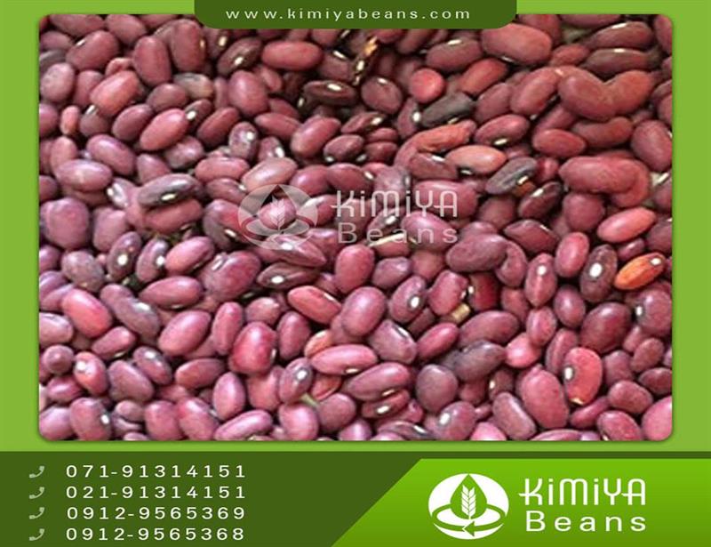 Azarshahr kidney beans