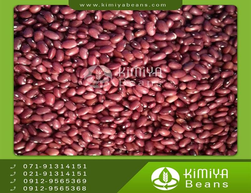 Eqlid small kidney beans
