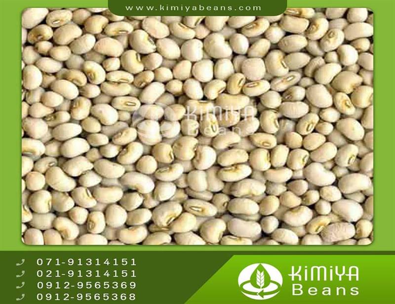 Ghirokarzin black eyed beans