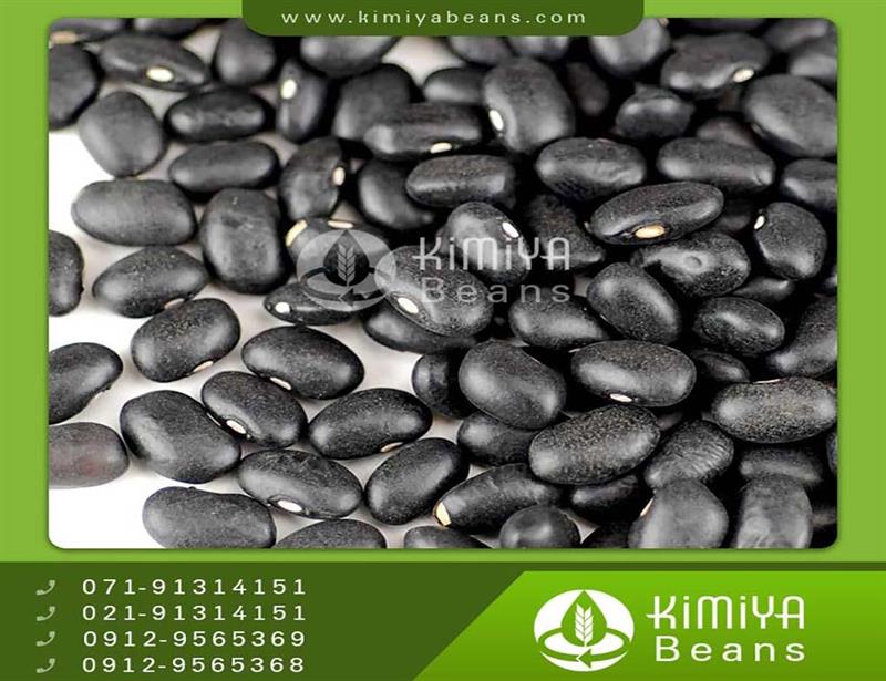 Bolivia black beans