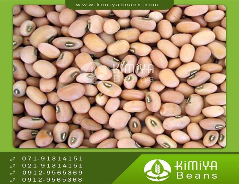 Myanmar black eyed beans