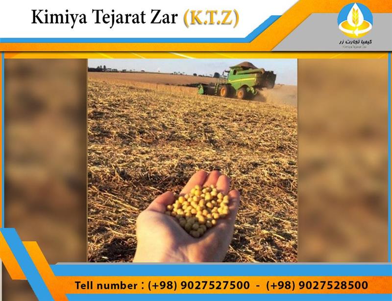 Soybean