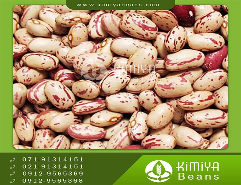 Azarshahr pinto beans