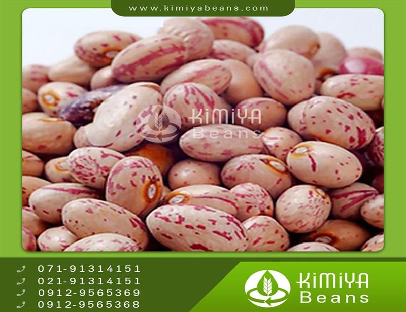 Africa pinto beans
