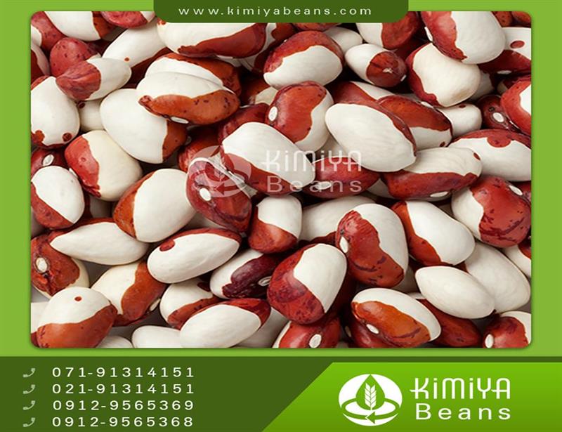 Kyrgyzstan kidney beans